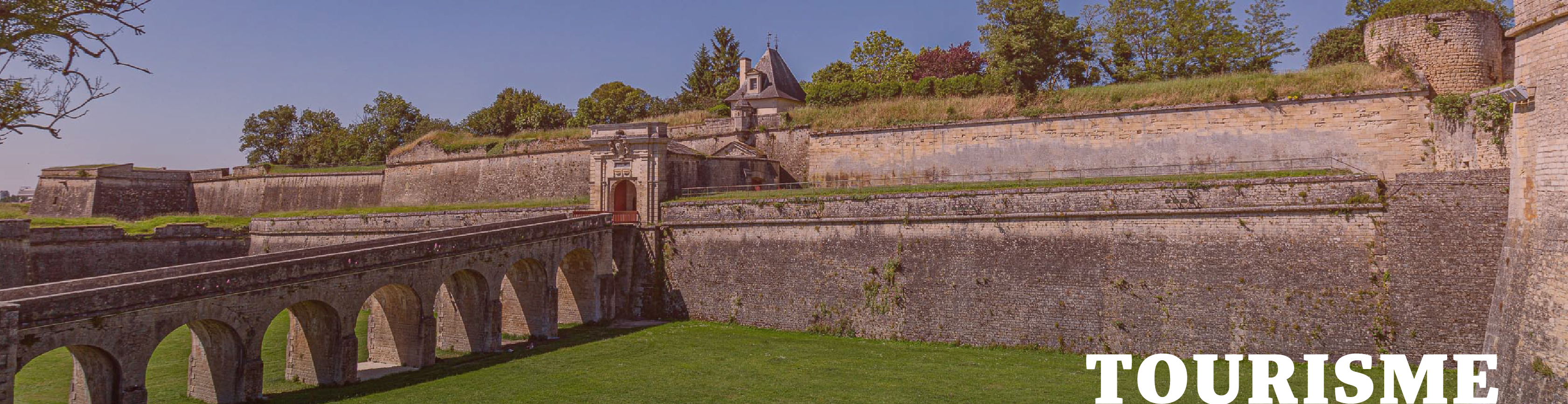 Plan de travail 3 copie 4