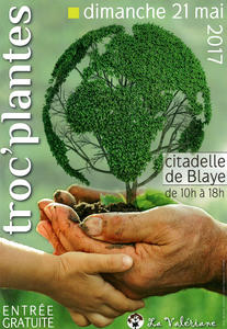 troque plante