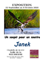janek ok