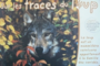 Sur les traces du loup