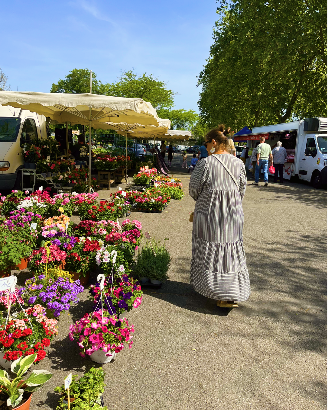 2026-quotidien-marché