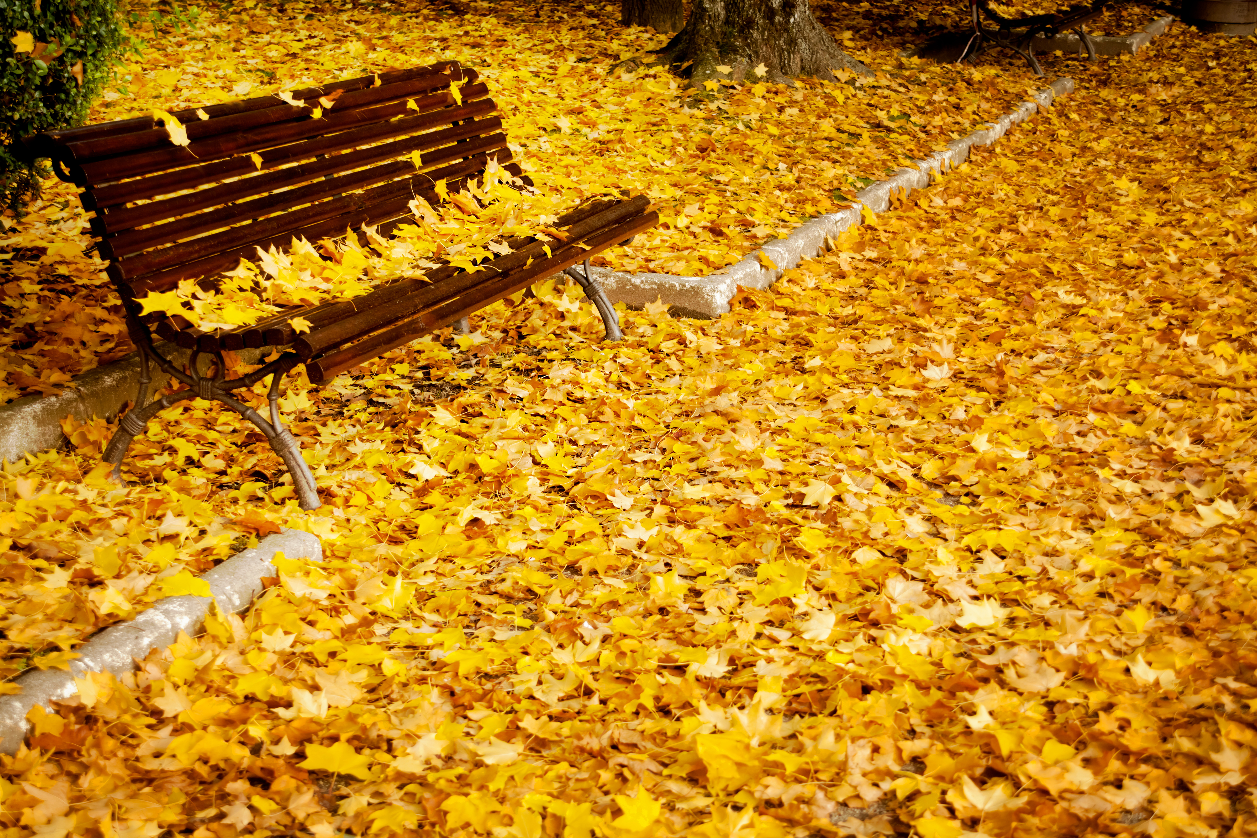automne