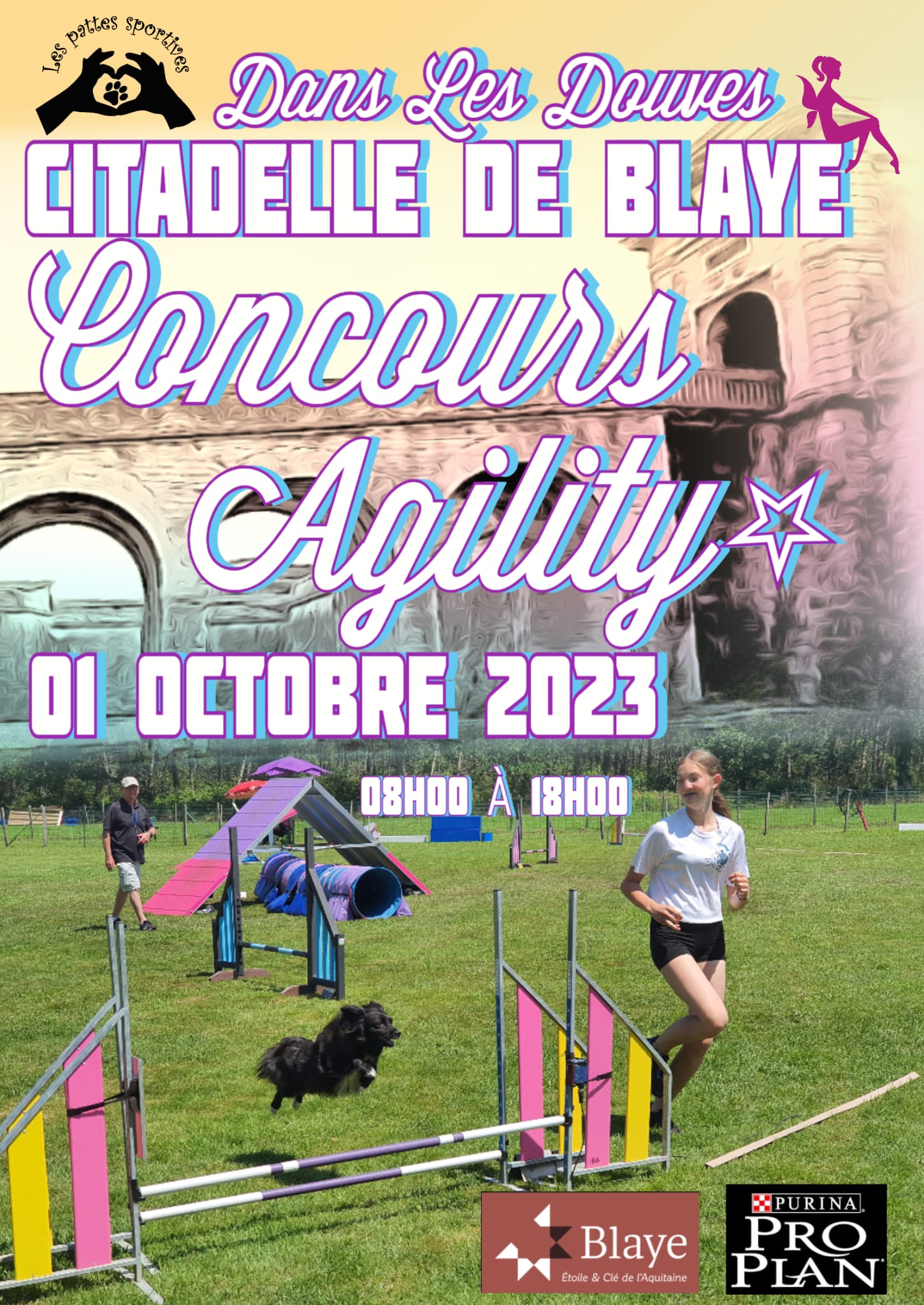 Concours agility