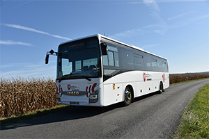 bus