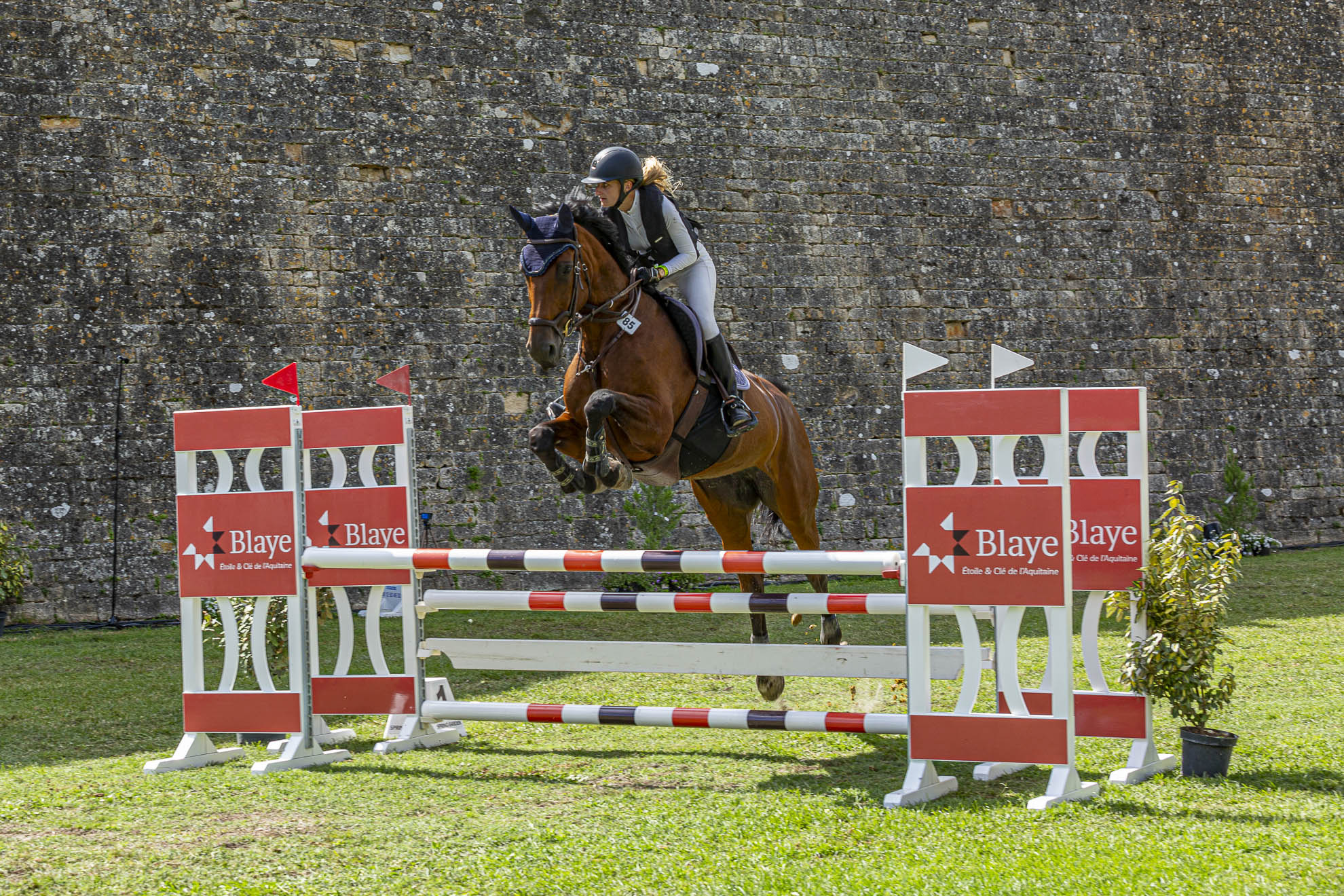 Jumping2024