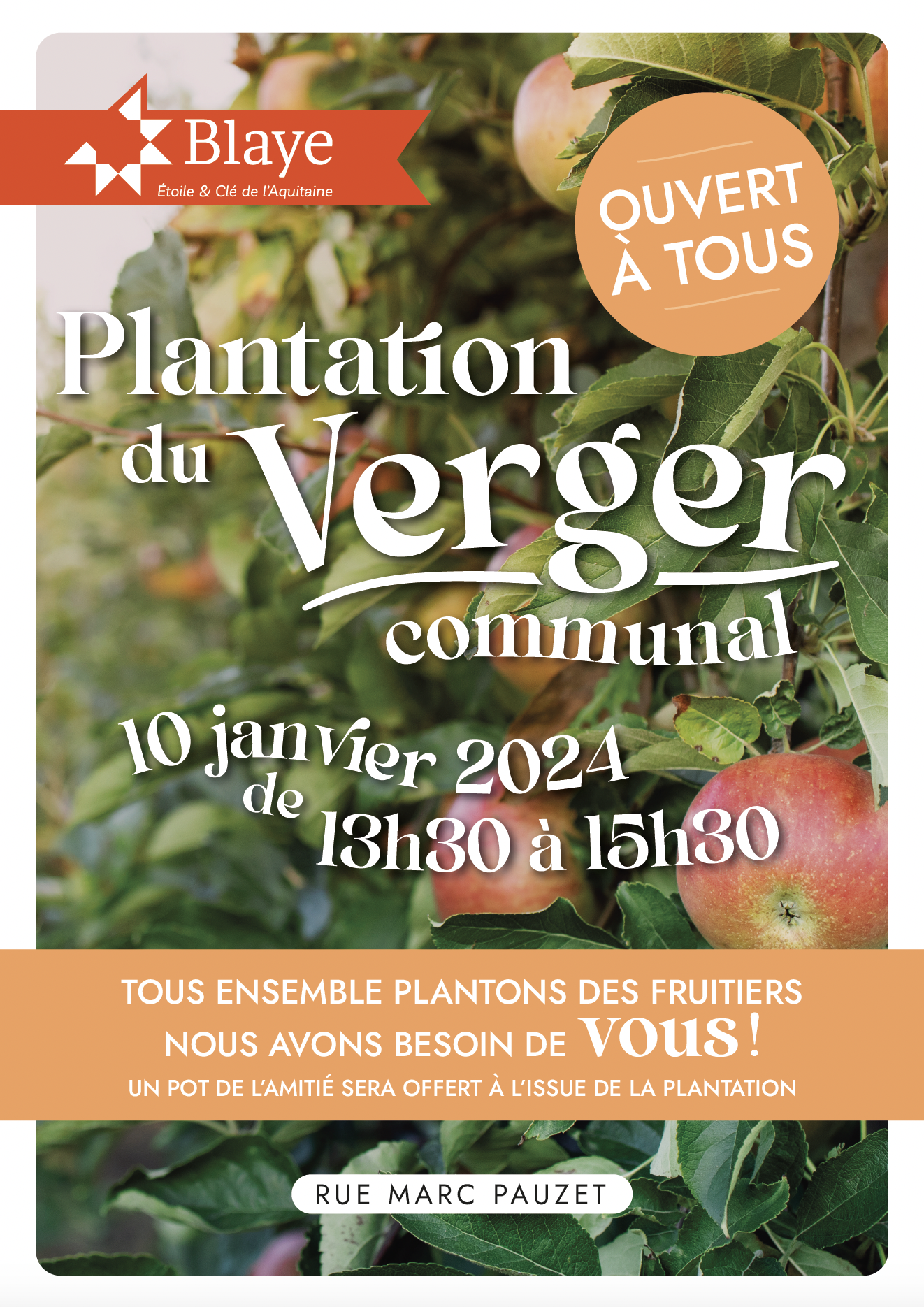 Plantation verger