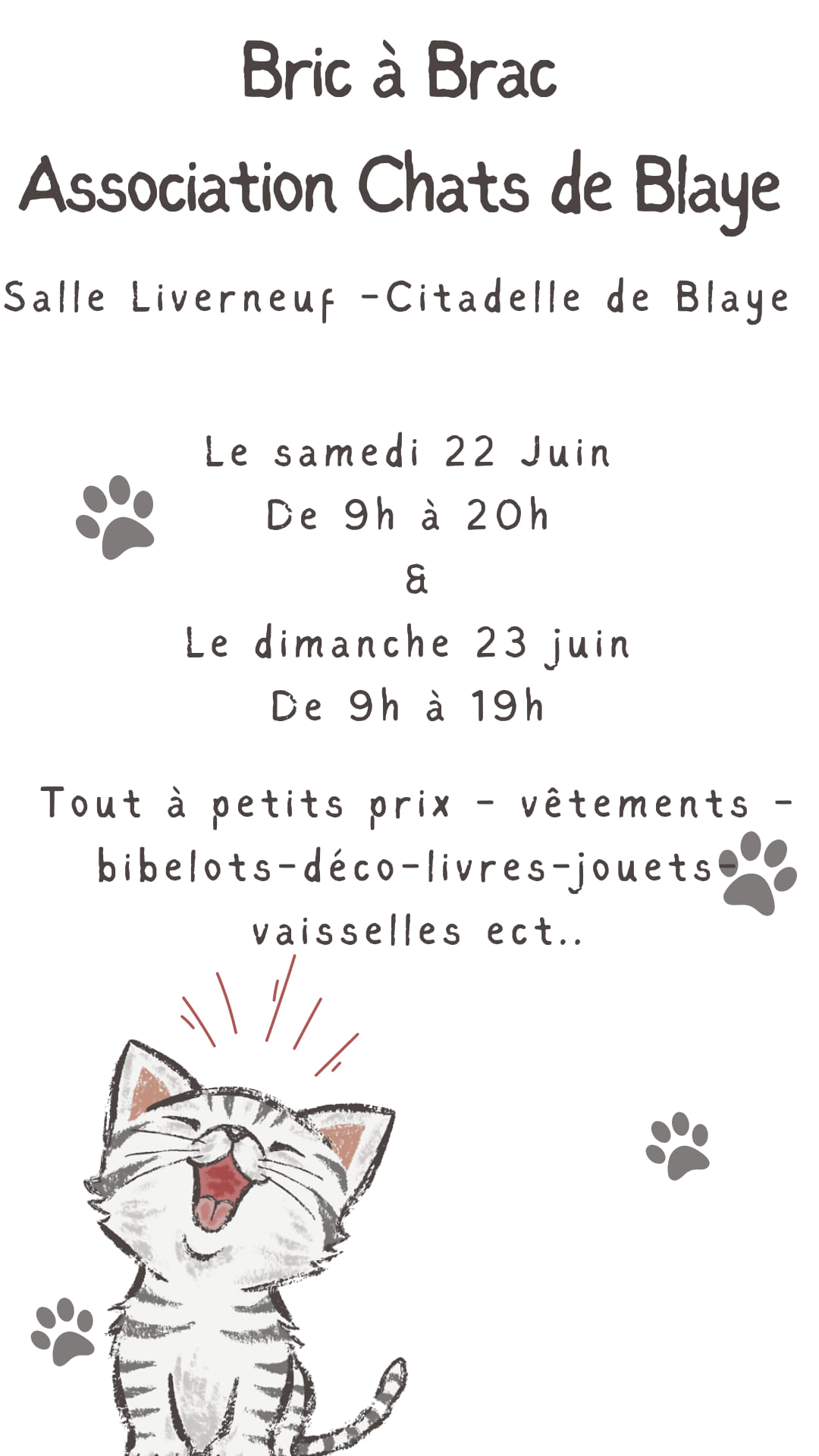 vide grenier chats de blaye