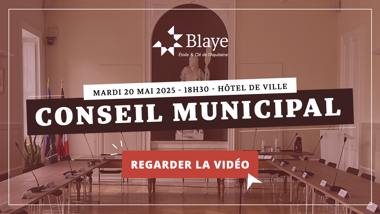 vignette-conseilmunicipal-20052025